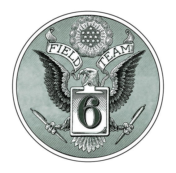 FieldTeam6 Logo